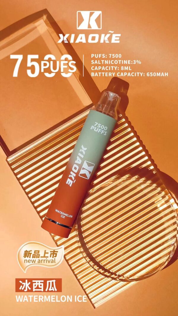 cc6f99dc-4e1a-40b1-aada-8b088f97a79b xiaoke 7500 puffs 梟客一次性電子煙 大容量拋棄式煙桿