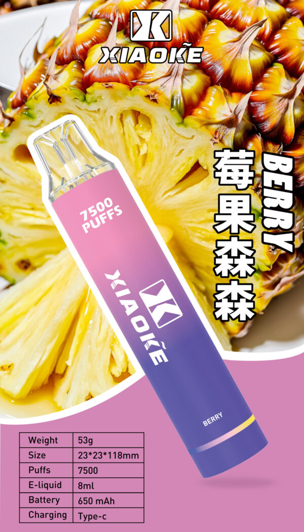 微信图片_20250107113618-scaled-1 xiaoke 7500 puffs 梟客一次性電子煙 大容量拋棄式煙桿