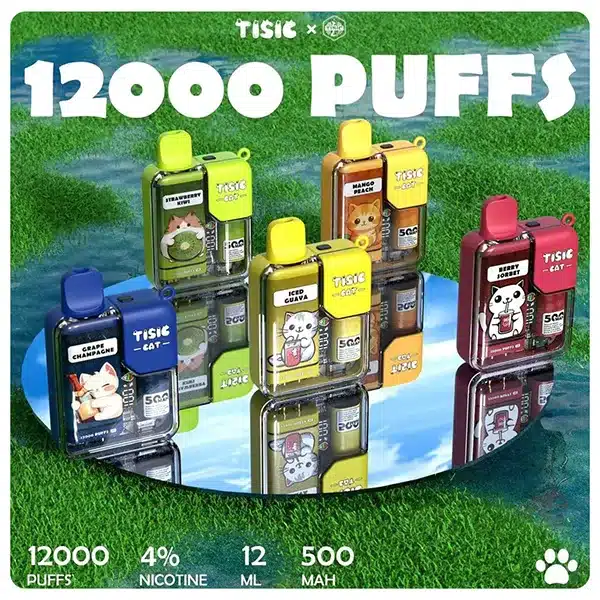 20250605063030-684139865cfb6.webp 【10款可選】TISIC貓咪一次性電子煙12000口 功率可調整 4%濃度 現貨速發