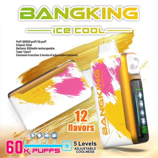 Bang King Ice Cool 60000口 5段可調冰感 一次性電子煙 | 超長續航25ml煙油 | LED螢幕顯示 Type-C快充 | 台灣現貨供應中